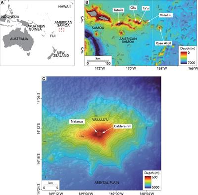 From basalt to biosphere: Early non-vent community succession on the erupting Vailulu’u deep seamount